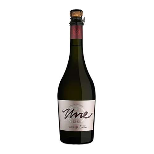 botellas500x500_une Hacienda Araucano-Lurton Espumante Rosé "Une" Blanc de Noir-Demeter/ Ecocert - Imagen 1
