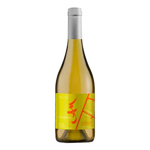 vinos500_2024_atilioviogner Tunquen Viognier - Attilio & Mochi - Imagen 1