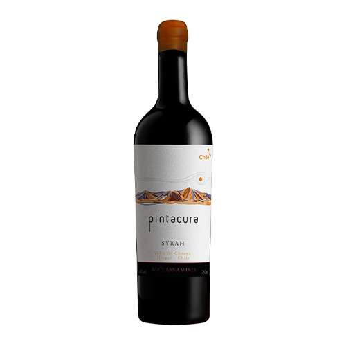botellas500x500pintacura Maturana Wines Pintancura SY - Imagen 1
